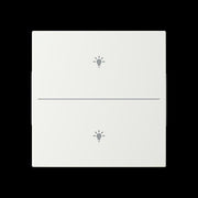 Busch-Jaeger - Bussystem-Tastwippe Abdeckung als Taster LFBT/A.2.55.11-914 2f. Symbol Jalousie