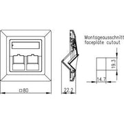 Telegärtner - Kommunikationsanschlussdose Kupfer Modul-Aufnahme 2-fach 100021409 80x80, aws