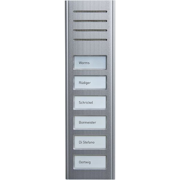 TCS Tür Control - Türstation für Türkommunikation Audio Außenstation ASX13006-0010 6Tasten 1-reih.AP si