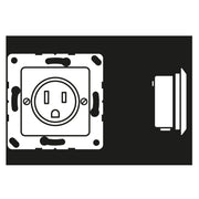 Jung - Steckdose Steckd NEMA15 A125 121-15 WW V 50x50 alpinweiß