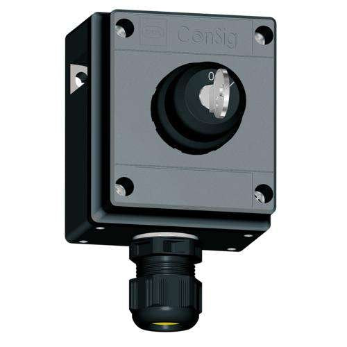 Stahl - Befehls- und Meldegeräte-Kombination im Gehäuse Schlüsselschalter 8040/1180X-08M01SA05 − 1 Stück by Stahl
