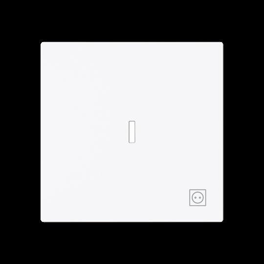 Busch-Jaeger - Abdeckung/Bedienelement für Installationsschalterprogramme Wippe mit Symbol Stecker 1789 ST-44G m. transpar. Kalotte
