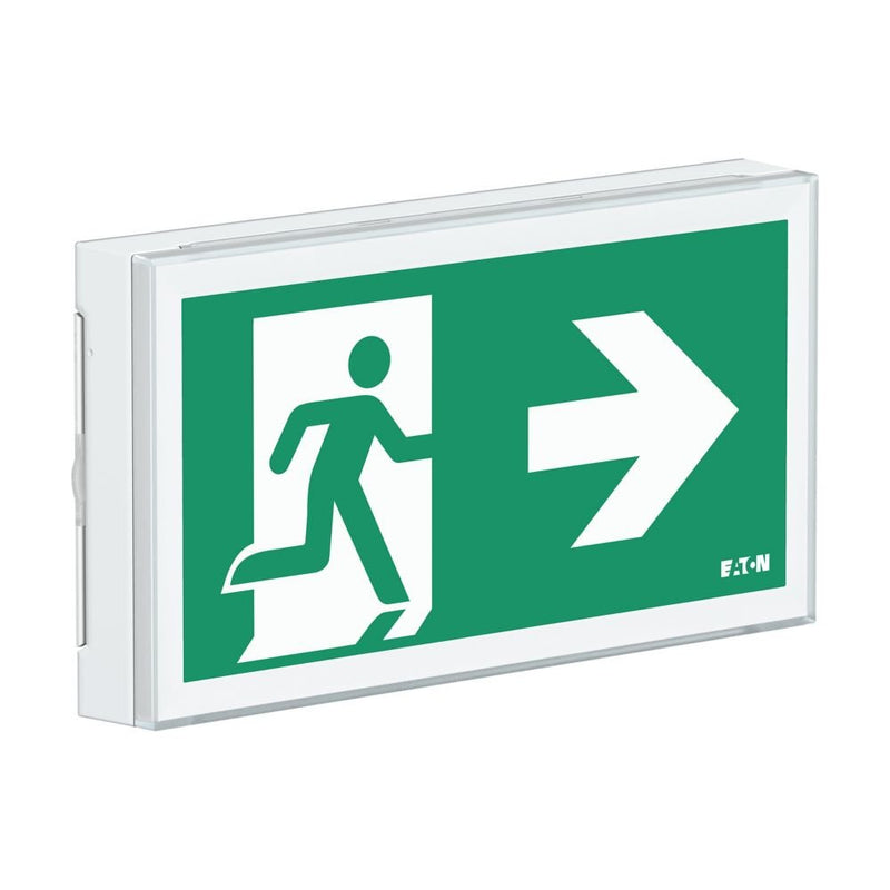 Ceag Notlichtsysteme - Sicherheitsleuchte LED-Rettungszeichenleuchte FT2EW4ICGS ZB, Piktos, Wand