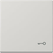 Jung - Abdeckung/Bedienelement für Installationsschalterprogramme Wippe Symbol TÜR lgr LS 990 T LG für Taster