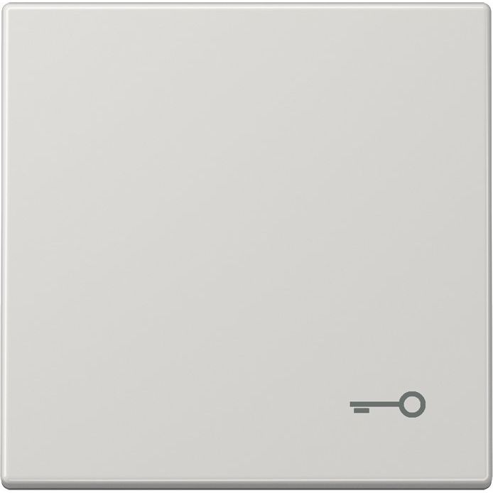 Jung - Abdeckung/Bedienelement für Installationsschalterprogramme Wippe Symbol TÜR lgr LS 990 T LG für Taster