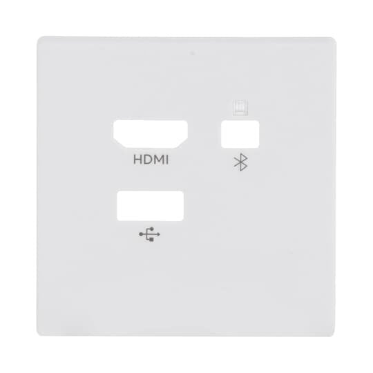 Busch-Jaeger - Einsatz/Abdeckung für Kommunikationstechnik Zentralscheibe 8256-884 Media Connector