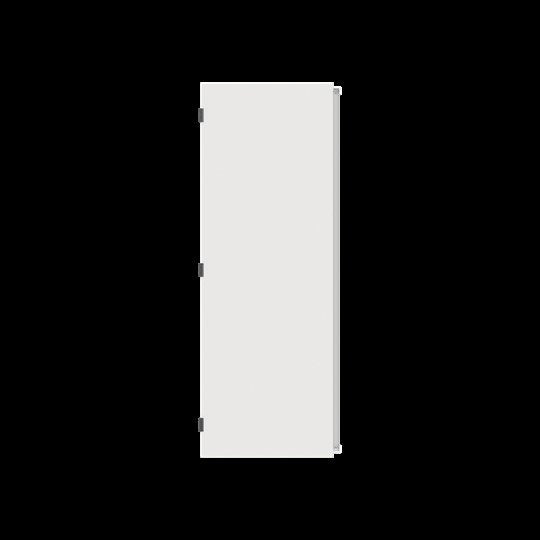 Striebel&John - Tür/Bedientableau (Schaltschrank) Tür Stahlblech TZB209L 2FB 9RE li