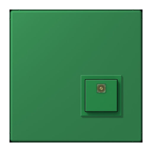 Jung - Behindertenelement für Installationsschalterprogramme Notrufsystem Abstelltaster NRS LC 0834 AT 219 vert fonce