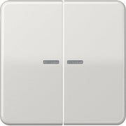 Jung - Bussystem-Tastsensor KNX RF Taster 2fach CD 10921 ST RF LG Duroplast, Serie CD