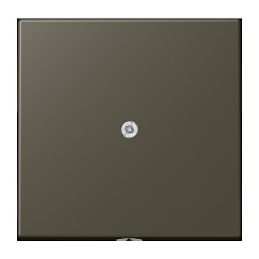 Jung - Einsatz/Abdeckung für Kommunikationstechnik Leitungsauslass m. Zugent. LC 990 A 241 ombre naturelle 31