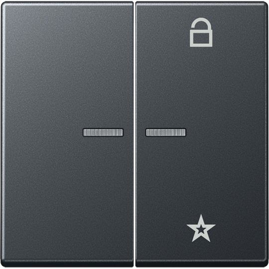 Jung - Bedienelement intelligent eNet Funk-Steuertaste FM A 1701 BF ANM 2fach,anthrazit matt
