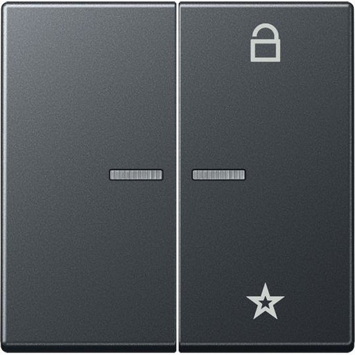 Jung - Bedienelement intelligent eNet Funk-Steuertaste FM A 1701 BF ANM 2fach,anthrazit matt