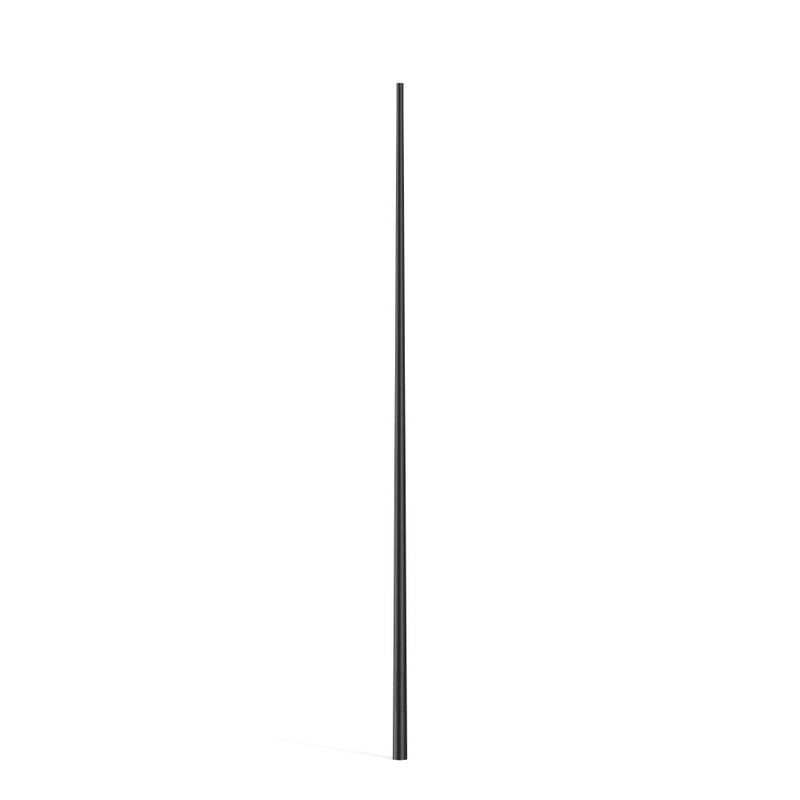 RZB - Lichtmast Leuchtenmast 611901.0031 D156 H8000d76Eingrab