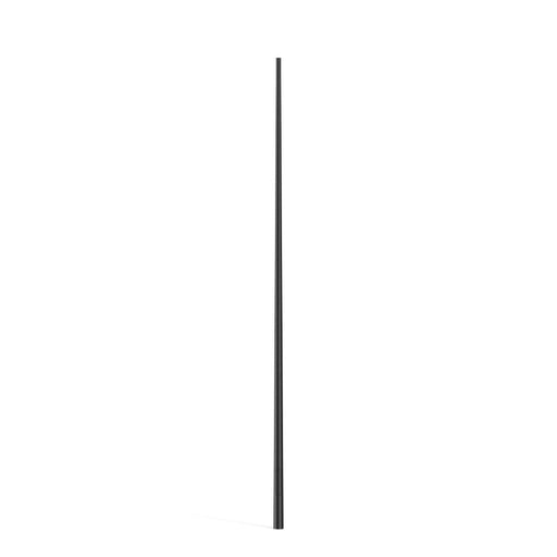 RZB - Lichtmast Leuchtenmast 611901.0031 D156 H8000d76Eingrab