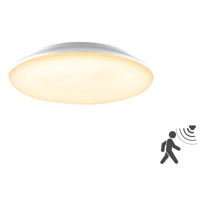 EVN Lichttechnik - Decken-/Wandleuchte LED-Anbauleuchte L30180125BM m. Bewegungsmelder