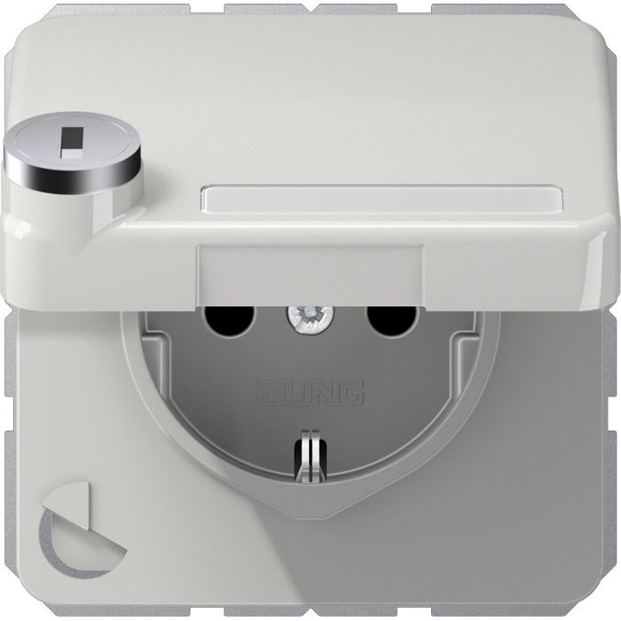 Jung - Steckdose SCHUKO-Steckdose 16A 250V CD 1520 NAKLSL LG m.Berührungsschutz