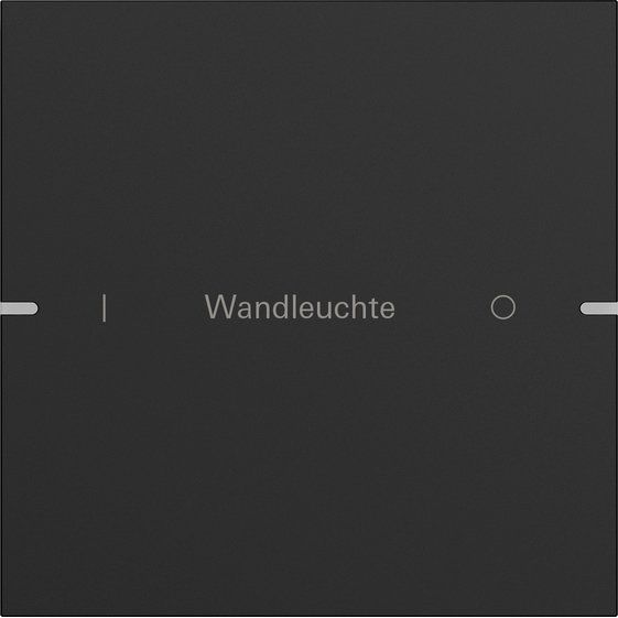 Gira - Bussystem-Tastwippe Wippenset 1-fach 5031905 Tastsens TS4 sw