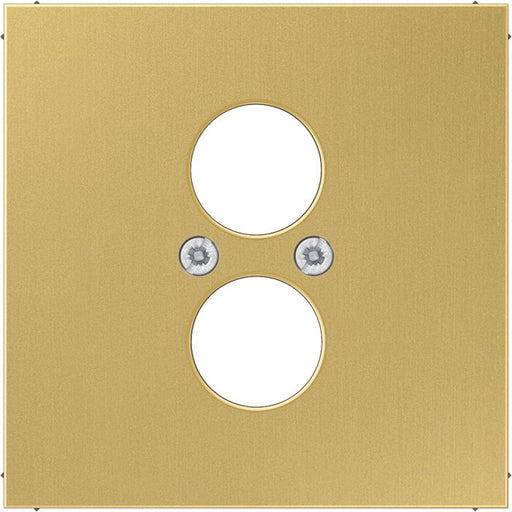 Jung - Einsatz/Abdeckung für Kommunikationstechnik Abdeckung Mess/clas ME 2962-2 C f. 2 Kleinsteckdosen