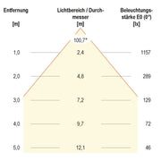 EVN Lichttechnik - Downlight/Strahler/Flutlicht LED-Fluter LFA3002S IP65, 3000K 2150lm