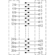 Weidmüller - Übergabemodul Steckkartenhalter SKH2 31 LP 31-pol.,Eurokarten