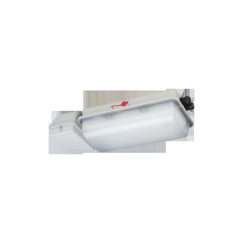 Schuch Licht - Explosionsgeschützte Leuchte Not-/Hinweis LED-Ex-Notleuchte e856F L10/3/2,5 H IP66, SK I