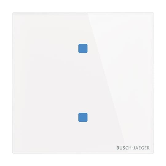 Busch-Jaeger - Bussystem-Tastsensor Touch-Bedienelement TB/U2.4.11-CG 2-fach