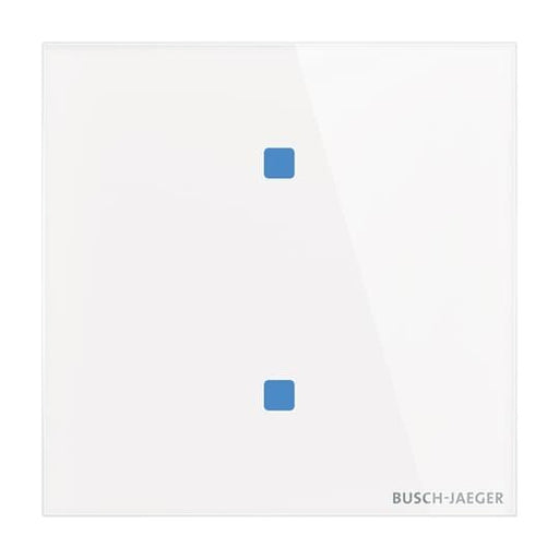 Busch-Jaeger - Bussystem-Tastsensor Touch-Bedienelement TB/U2.4.11-CG 2-fach