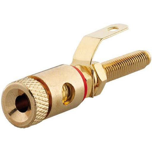 Rutenbeck - Kommunikationstechnik-Adapter Mini-Klinken-Buchse KM-LS rt − 1 Stück by Rutenbeck
