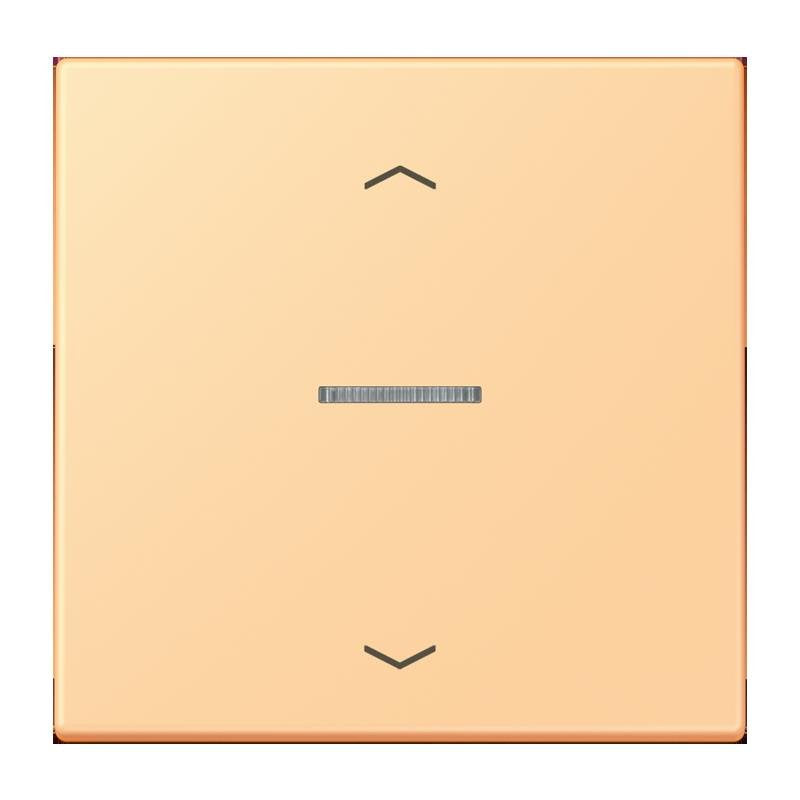 Jung - Abdeckung/Bedienelement für Installationsschalterprogramme Wippe mit Lichtleiter LC 101 KO5P 258