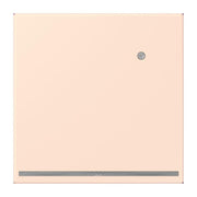 Jung - Orientierungsleuchte LED-Orientierungslicht LC 1539-O LNW 226 orange pale (32082)