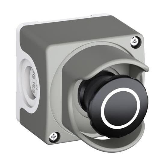 ABB Stotz S&amp;J - Befehls- und Meldegeräte-Kombination im Gehäuse Gehäusekombination CEP1-2002  − 1 Stück
