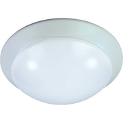 RP-Technik - Sicherheitsleuchte QAW421WL-BM