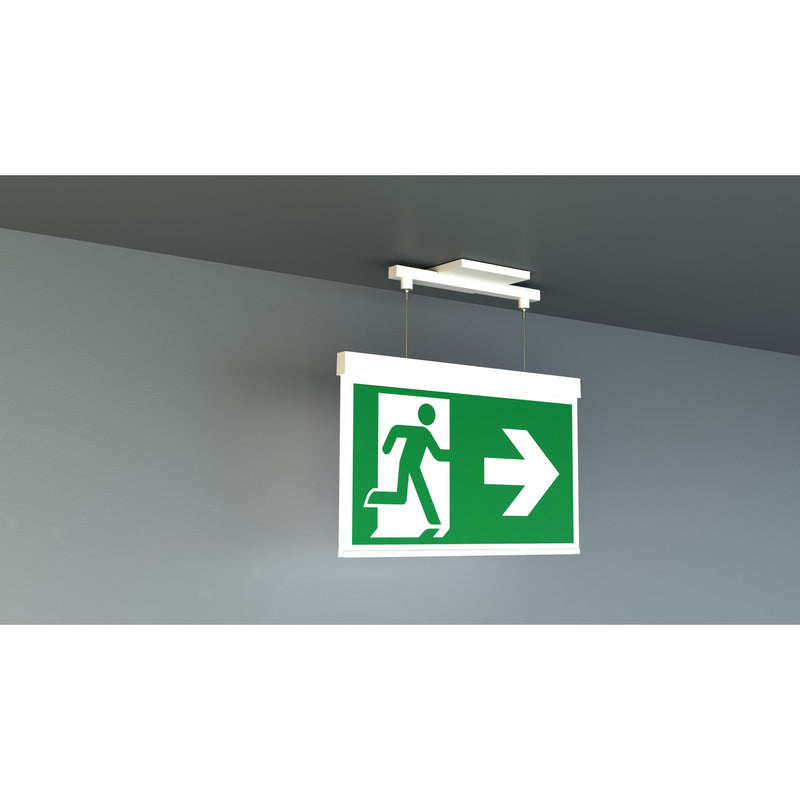 RP-Technik - Sicherheitsleuchte LED-Rettungszeichenleuchte AMEC401SC EB 1h, SC