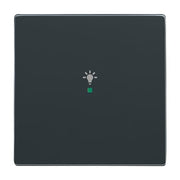 Busch-Jaeger - Bussystem-Tastwippe Wippe 1-fach, Symbol Licht 6231-10-81 anthrazit