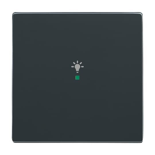 Busch-Jaeger - Bussystem-Tastwippe Wippe 1-fach, Symbol Licht 6231-10-81 anthrazit
