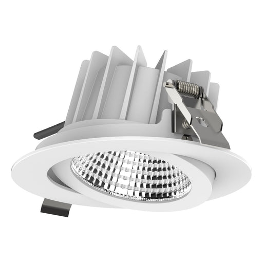 EVN Lichttechnik - Downlight/Strahler/Flutlicht LED-Deckenleuchte P54250125 schwenkbar