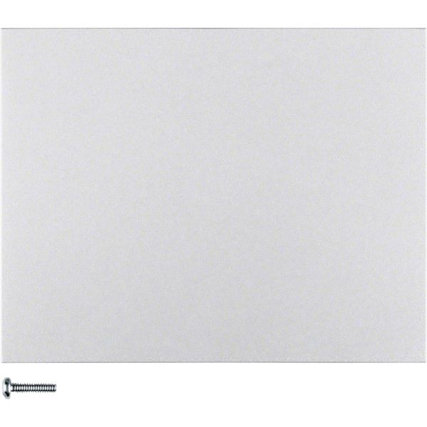 Berker - Bedienelement intelligent Taste 1fach 85141177 alu matt, lackiert