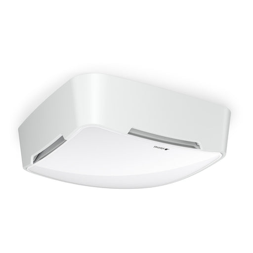 Steinel - Bewegungsmelder/Präsenzmelder komplett TRUE PRESENCE Melder Multisensor #084110 AP