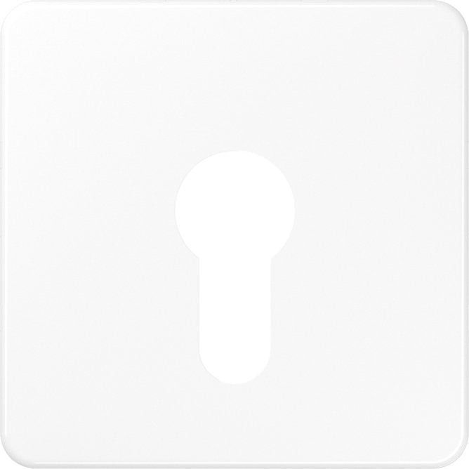 Jung - Abdeckung/Bedienelement für Installationsschalterprogramme Abdeckung aws CD 525 WW für Schlüsselschalt