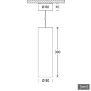 LTS Licht&Leuchten - Pendelleuchte LED-Pendelleuchte FUZYP0801030253 sw 3000K 25°schwar