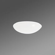 Regiolux - Lichttechnisches Zubehör/Ersatzteile für Leuchten Abdeckwanne Wanne WBLR /500 tz aus PMMA