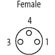 Murrelektronik - Konfektioniertes Sensor-Aktor-Kabel M8 Buchse 7999-08041-2330750 ger. frei Ltg-Ende − 1 Stück