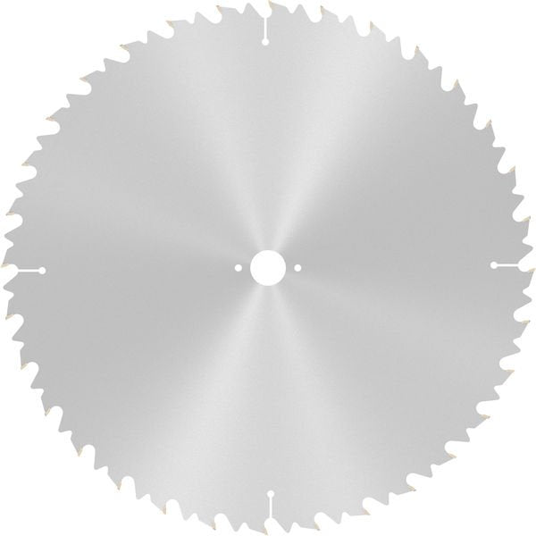 Bosch - Kreissägeblatt PRO Wood Kreissägeblatt, 2608640704 450 x 3.8 x 30 mm