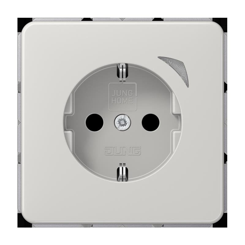 Jung - Steckdose SCHUKO Steckdose 16 A 250V BT CD 1521 SE LG m. Berührungsschutz