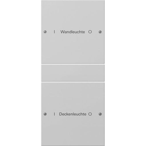 Gira - Bussystem-Tastwippe Wippenset 2-f. 2202015 1+1 beschr.gr lack