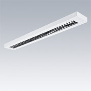 Thorn - Decken-/Wandleuchte LED-Aufputzleuchte PUNCH 3 LV #96636026 930