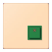Jung - Behindertenelement für Installationsschalterprogramme Notrufsystem Abstelltaster NRS LC 0834 AT 223 ocre