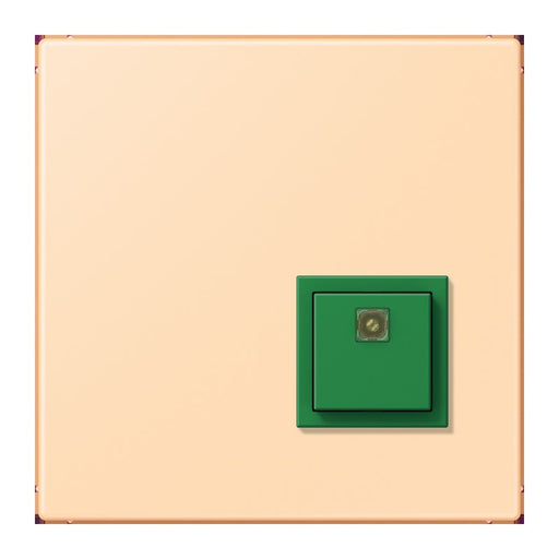 Jung - Behindertenelement für Installationsschalterprogramme Notrufsystem Abstelltaster NRS LC 0834 AT 223 ocre