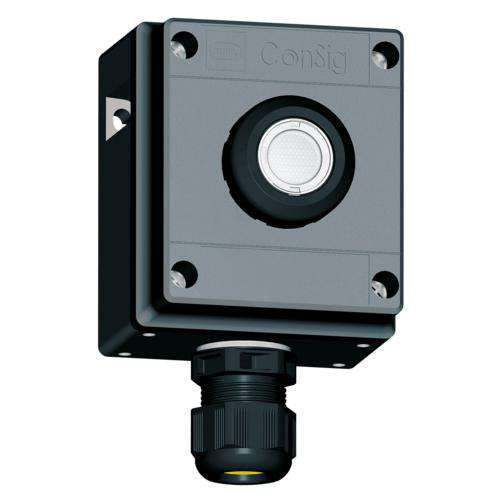 Stahl - Befehls- und Meldegeräte-Kombination im Gehäuse Leuchtdrucktaster 8040/1180X-35C06SA45 − 1 Stück by Stahl
