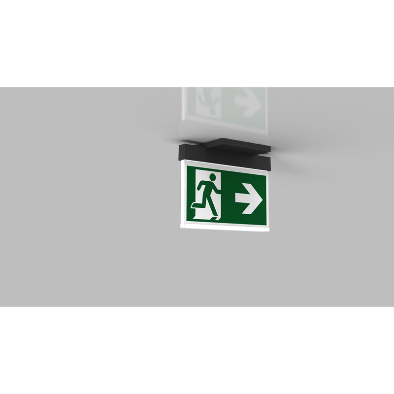 RP-Technik - Sicherheitsleuchte LED-Rettungszeichenleuchte AIE401SC-AZ EB 1h, SC, anthr